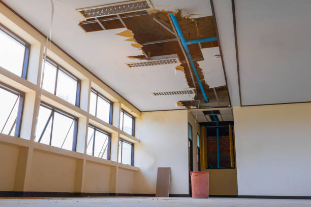 Best Water damage repair service  in Ralston, NE