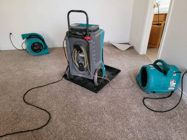 Best Water damage restoration near me  in Ralston, NE