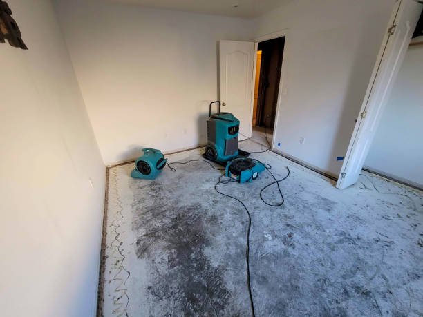 Carpet water damage restoration in Ralston, NE