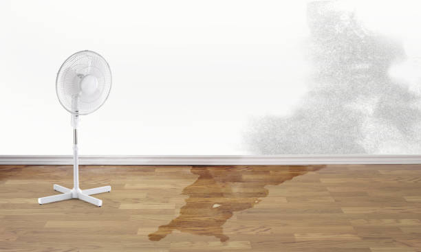 Best Flooded house restoration  in Ralston, NE