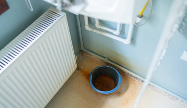 Best Professional water damage repair  in Ralston, NE