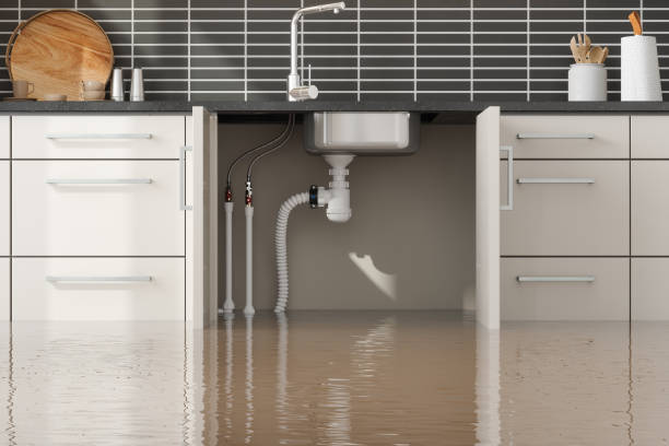 Best Fire Damage Restoration  in Ralston, NE