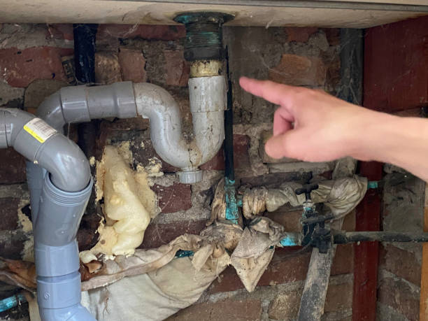 Best Water damage restoration specialists  in Ralston, NE