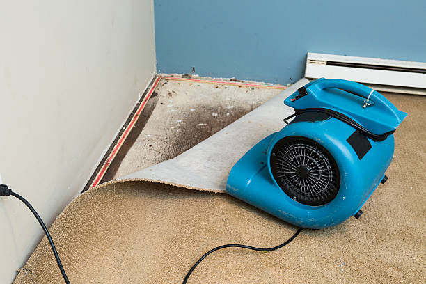 Best Sewage cleanup and water damage restoration  in Ralston, NE